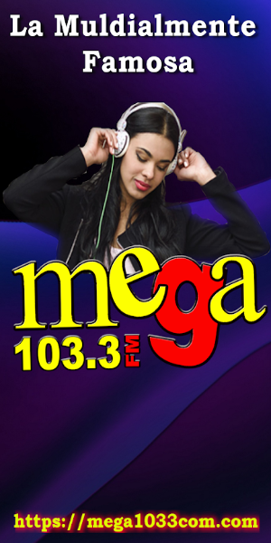 Schermata Radio Mega 103.3 Fm Ecuador 2