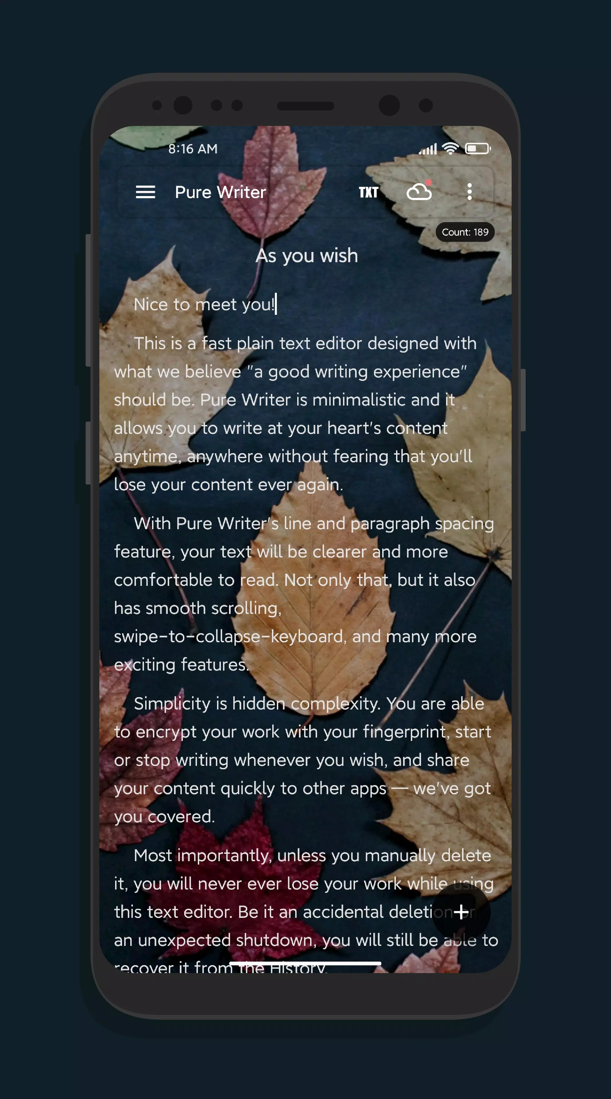 Pure Writer Screenshot 2