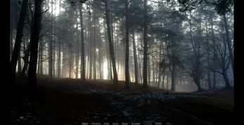 Wolves in the Night ภาพหน้าจอ 3