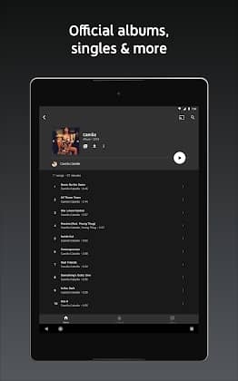 YouTube Music Premium Screenshot 3