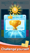 Block Puzzle Plus স্ক্রিনশট 1