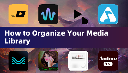 How to Organize Your Media Library